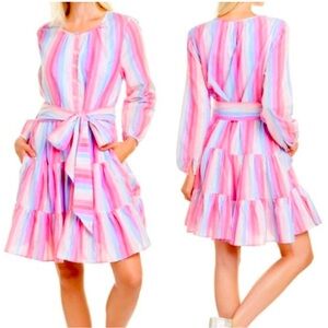 NWT! J. Crew Stripe Tiered Shirtdress Belted Up Pastel Sz L